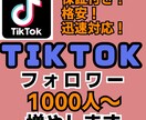 tiktokフォロワー1000人～増やします tiktokフォロワー1000人以上！　★爆増★ イメージ1