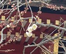 高次の神様からのメッセージお伝えします 沢山の神様から、あなたのお悩みをアドバイスして頂きます イメージ3