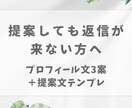 在宅ワーク初心者の受注用プロフィールを作ります 提案しても返信が来ない方へ／3案＋提案文テンプレ付き イメージ1
