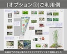 自分でつくるお庭の植栽計画ををご提案いたします ＜家を建てたけどお庭がほったらかしになっている方必見！＞ イメージ6