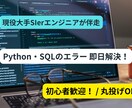 現役SEがPython・SQLのエラー解決します 大手SIer現役SEが最短即日でエラー解決・コード作成！ イメージ1