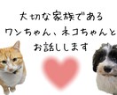 ワンちゃんネコちゃんとお話しします 大切な家族であるワンちゃんネコちゃんとお話しします イメージ1