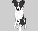 どんなペットも心こめてイラストにさせていただきます 犬•猫•小動物•エキゾチック•爬虫類等あらゆる動物描きます! イメージ9