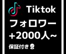 Tiktokのフォロワー2000人増やします 格安でフォロワー増加させます！！ イメージ1