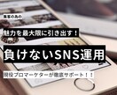 プロがSNS運用代行いたしますます Instagram,TikTokの運用を行います。 イメージ1