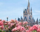 元キャストがあなただけのディズニープランを考えます プランだけでなくしおり制作もお任せください！ イメージ1