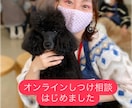 オンラインしつけ相談をします ペットとより良い暮らしに！しつけ教室の前にご相談ください！ イメージ1