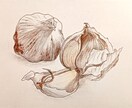 果物や木の実、焼菓子、スイーツなどをお描きします /写真などを元にスケッチ風仕上げ イメージ6
