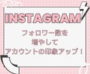 フォロワー増やします 日本人フォロワーで影響力アップ！ イメージ1