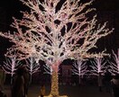 友人関係の悩み、仕事の悩み、愚痴聞きます 知ってる人じゃないから話せることってありますよね イメージ1