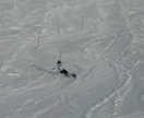 スキー.スノーボードを空撮Photo撮ります 最高のワンカットをお届けします イメージ3