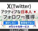 twitterフォロワー日本人100人購入できます 減少しないアクティブなX日本人アカウントでフォローします イメージ1