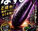 夏野菜の売れるPOPを制作します 八百屋専門売れるPOPを制作します。 イメージ4
