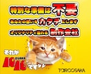 〇〇なチラシをデザインいたします 御社のお好みに合わせます。格安!複数のデザイナーがデザイン! イメージ1