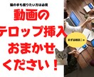 YouTube等のテロップ挿入請負ます 猫の手も借りたい方、まずご相談させてください！ イメージ1