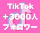 Tiktokフォロワー3000人増やします 評価貯まるまで最安★フォロワー確実に増加させます！ イメージ1