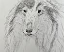 モノクロペンで描く、犬専門の似顔絵描きます 大切なご家族をペン画で一枚一枚、心を込めて手描きします。 イメージ4