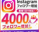 Instagramの外国人フォロワーを増やします 9月までの特別価格でご提供⭐️ イメージ8