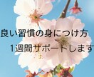 良い習慣の身につけ方を1週間サポートします なぜかうまくいかないと悩む方必見！習慣を見直しませんか？ イメージ1