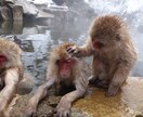 誰かと話たいなという時、いつでもお話相手になります 独りでつまらない、寂しい時の気分転換に イメージ4