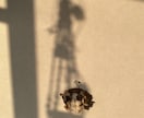 心のモヤモヤをクリアにして癒しをお届けします 心のお掃除と心を温まるヒーリングメッセージ♡ イメージ1
