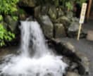 呼ばれた人しか参拝出来ない神社、代理参拝いたします 道を開きたい方必見！猿田彦大神の総本宮である椿大神社へ参拝 イメージ4