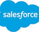 salesforceによる顧客管理をします salesforceの導入支援やUI＆UXの観点で構築します イメージ1