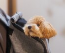2023年（令和5年）あなたの吉方位を占います 願いが叶う！吉方旅行で開運しましょう イメージ7