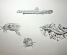 プロが世界に一枚のリアルなペット鉛筆画を描きます 昆虫・魚類・両生類・爬虫類・鳥類・哺乳類まで全対応します イメージ4