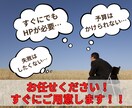 集客に強い！飲食店向けのホームページを制作します 丸投げOK！本格的でSEOに強いHPを格安で制作します イメージ7