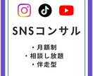 あなたのSNSを1ヶ月間コンサルします フォロワーより“売上導線”を整えるSNS相談に！ イメージ1