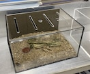 合成樹脂板(プラスチック)の加工致します ちょうど良いこんな感じの物無いかな〜を形にしませんか？ イメージ2