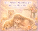 お空組リーディング☆想いを届けます 虹の橋のあの子へ愛を届け、優しいお返事を受け取ります イメージ4