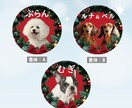 クリスマス向けペット写真SNSアイコンを制作します うちの子写真で現役デザイナーがセミオーダーで制作 イメージ7
