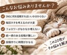 SNS投稿に使える豆知識テンプレ20枚を販売します 「投稿ネタに困ったときに！見やすくまとめた情報画像集」 イメージ2