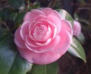 今すぐ誰かに聞いて欲しい❣️その思い受け止めます ～また笑顔で頑張れるように全力でお手伝いさせて下さいꕤ୭ イメージ8