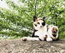 ５分でもOK！どんなお話でも聞きます 溜め込んでいること、話してスッキリしませんか？ イメージ2