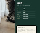 もしもの時に猫を託せる緊急引継ぎシートを作ります 災害・入院時にそのまま渡せる「うちの子取扱説明書」 イメージ3