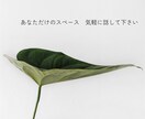 悩み全般、仕事、人間関係、異性、金銭等、聞きます 誰にも言えない悩み、一人で抱えず気軽に話して下さい。 イメージ1