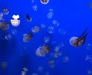 ズバッと言います！モヤモヤ解決させて頂きます スッキリしたい方お気軽にお悩みご相談下さいませ。 イメージ1