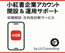 中国向け「RED」企業アカウント診断サポートます 「中国SNS戦略のプロが、小紅書を完全サポート！」 イメージ1