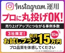 プロに丸投げ！Instagramを運用します Instagramで収益に繋げるためのサポートを行います イメージ1