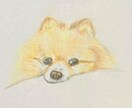 人・ペット、プレゼント用イラスト、など描きます 世界にひとつだけの手描きイラストをお届けします イメージ3