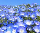 悩みとりあえず聞きます 人には言えないこと言って欲しいこと。第三者だから聞けます イメージ2