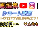 各種SNS！ショート動画編集します 満足して貰えるよう全力で作業します！ イメージ1