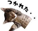 ペット写真からLINEスタンプ16個セット作ります ☆大切なペットをオリジナルLINEスタンプに イメージ6