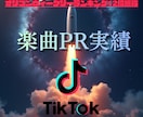 TikTokインフルエンサーで楽曲をPRいたします 楽曲に合う拡散設計でバズ導線を構築します!! イメージ6