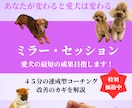 オリジナルメソッド『ミラー・セッション』提供します 〜どこが間違っているの？を一気解決。あと少しの工夫が成功へ〜 イメージ1