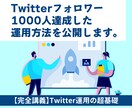 ツイッター◆フォロワー1000人達成方法を教えます 本質を突くTwitter運用で副業成功へ イメージ1