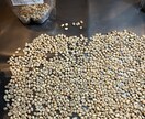 生豆輸入初心者向け！輸入実務完全ガイドします 輸入コスト削減、スムーズな生豆輸入を実現。商社実務経験あり。 イメージ7